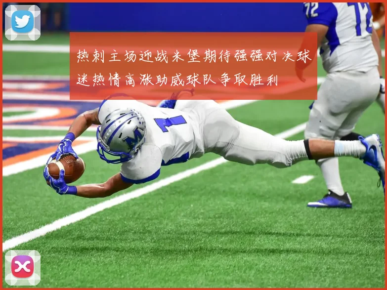 热刺主场迎战米堡期待强强对决球迷热情高涨助威球队争取胜利