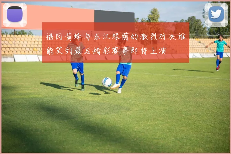 福冈黄蜂与东江绿荫的激烈对决谁能笑到最后精彩赛事即将上演