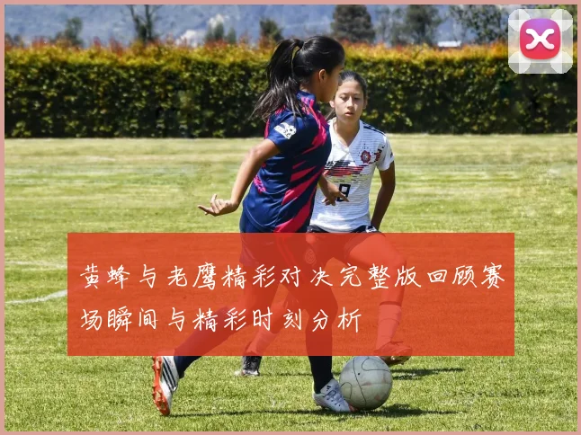 黄蜂与老鹰精彩对决完整版回顾赛场瞬间与精彩时刻分析