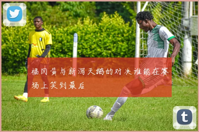 福冈黄与新泻天鹅的对决谁能在赛场上笑到最后