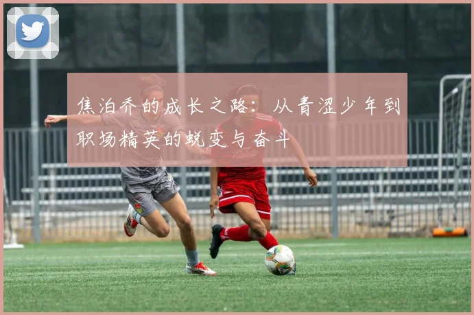 焦泊乔的成长之路：从青涩少年到职场精英的蜕变与奋斗