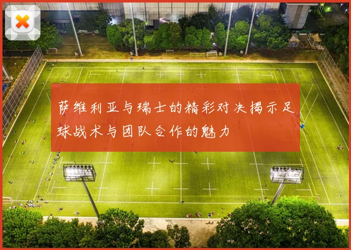 萨维利亚与瑞士的精彩对决揭示足球战术与团队合作的魅力