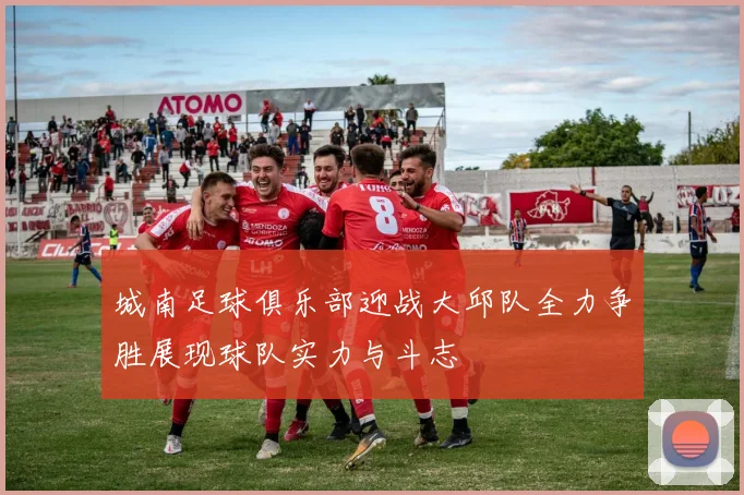 城南足球俱乐部迎战大邱队全力争胜展现球队实力与斗志