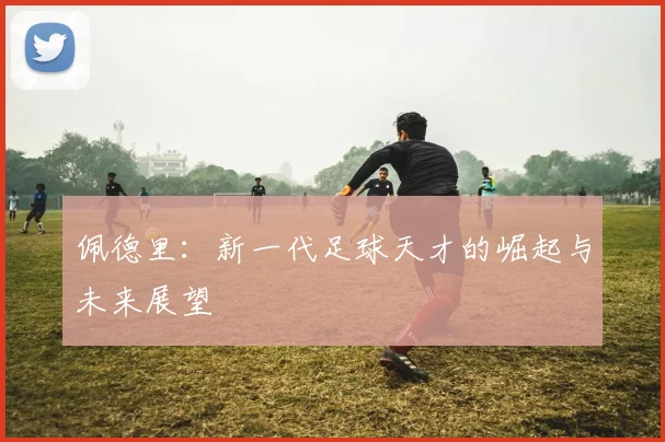 佩德里：新一代足球天才的崛起与未来展望