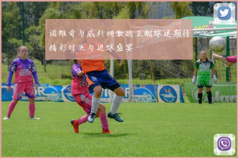诺维奇与威科姆激战正酣球迷期待精彩对决与进球盛宴